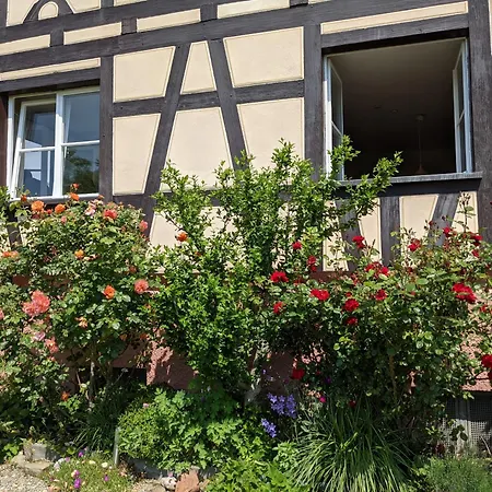 Apartmán Villa Salem *