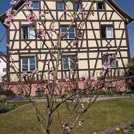 Apartmán Villa Salem *
